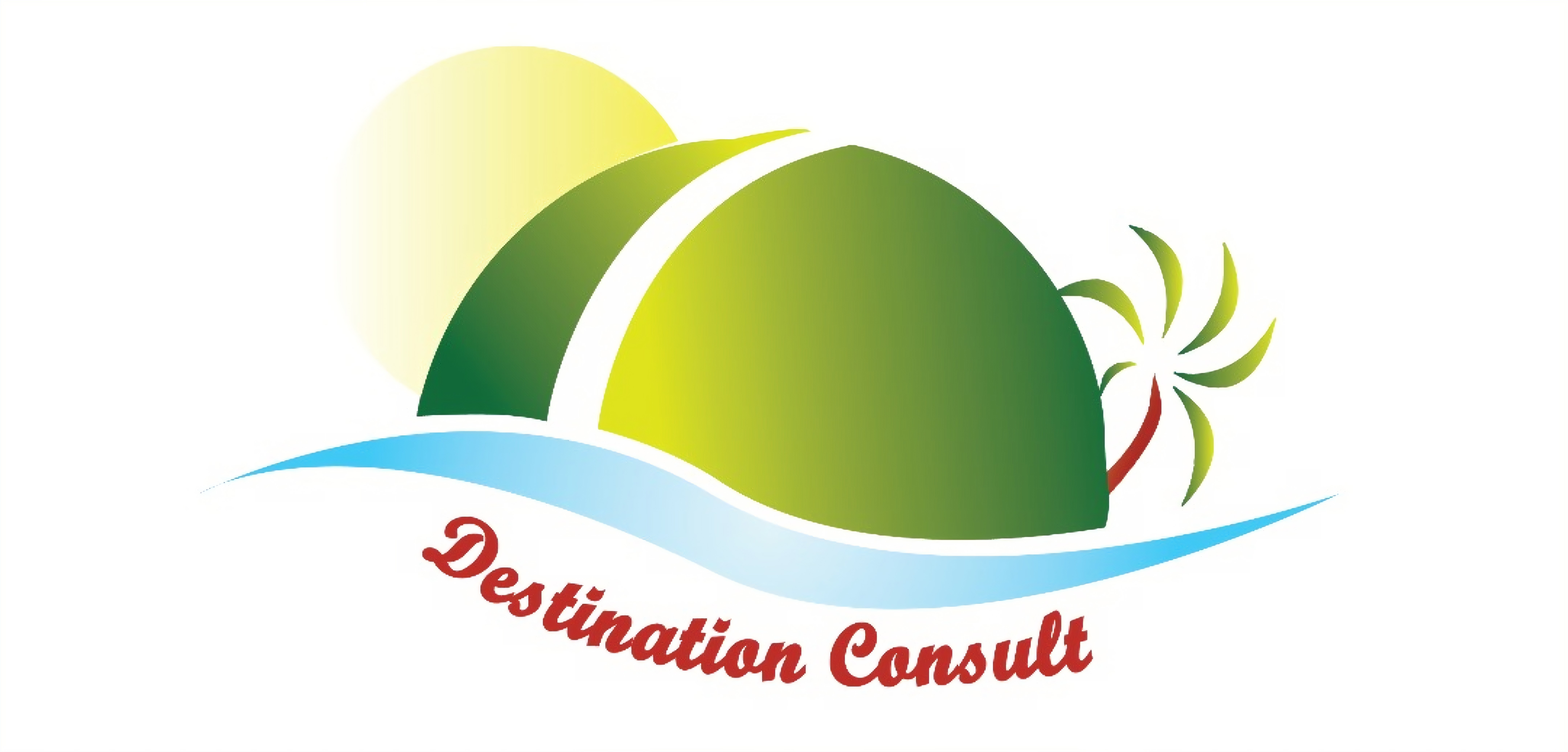 Destination Consult Logo